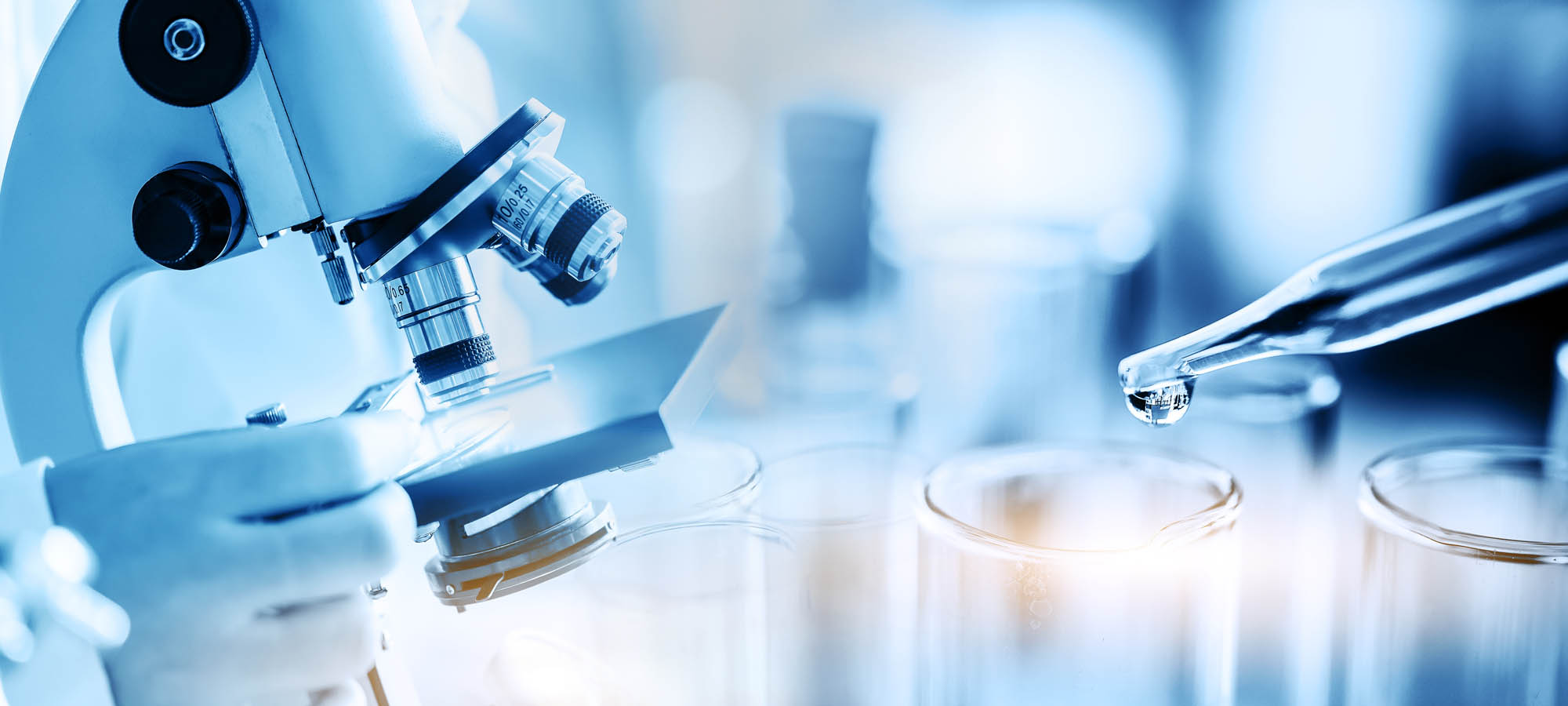 microscope sample lab